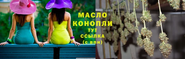 дмт Осинники