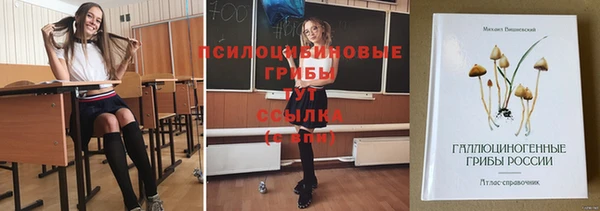 хмурый Переславль-Залесский