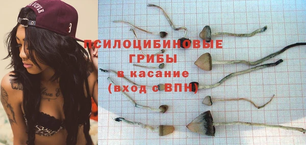 прущая мука Осташков