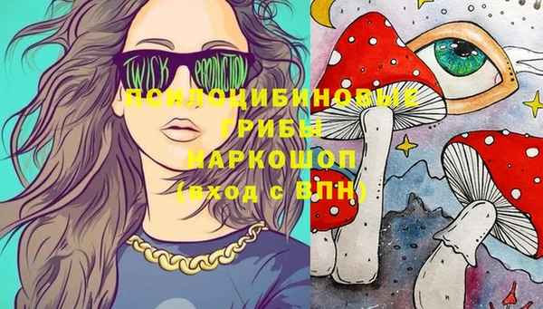 скорость Пересвет