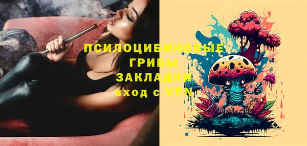 прущая мука Осташков