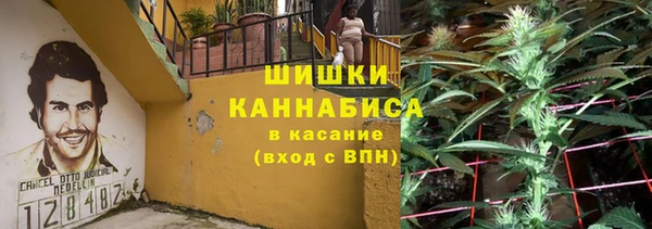 дмт Осинники