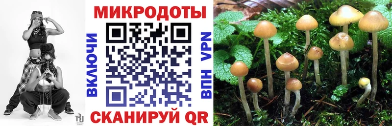 Галлюциногенные грибы мицелий  МЕГА зеркало  Чехов 